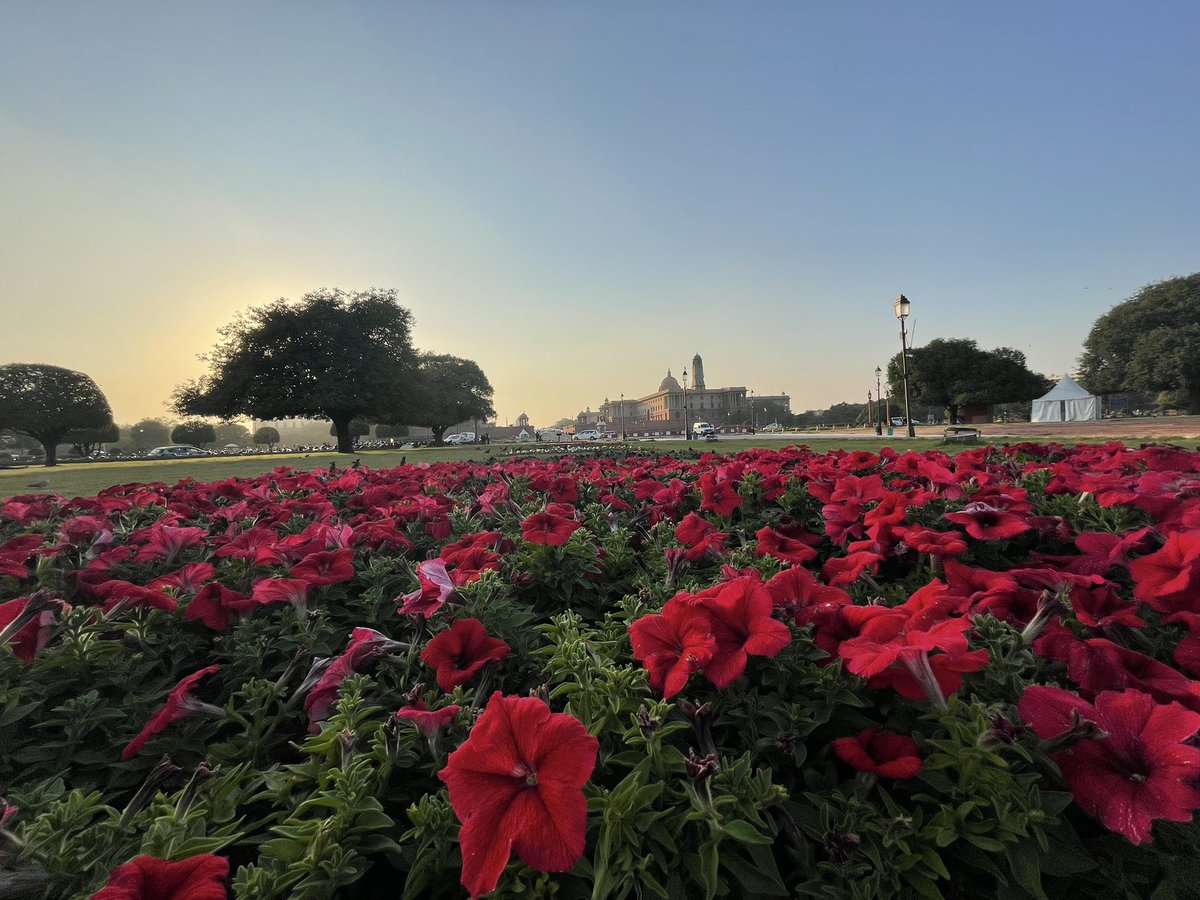 NEETAS11's tweet image. #दिल्ली - दिन है ये बहार के ! #springindelhi