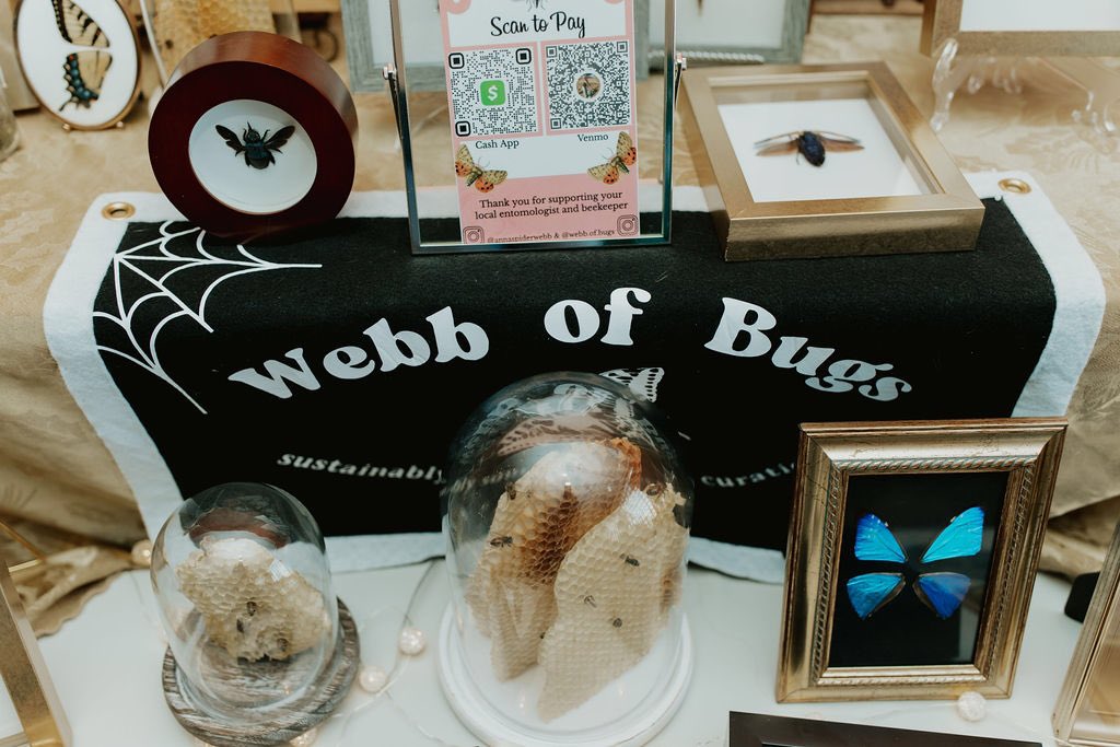 Anna Webb tweet media