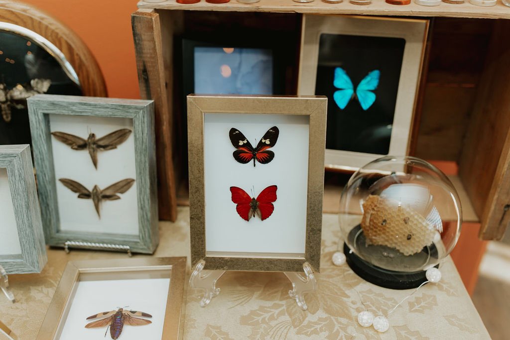 Anna Webb tweet media