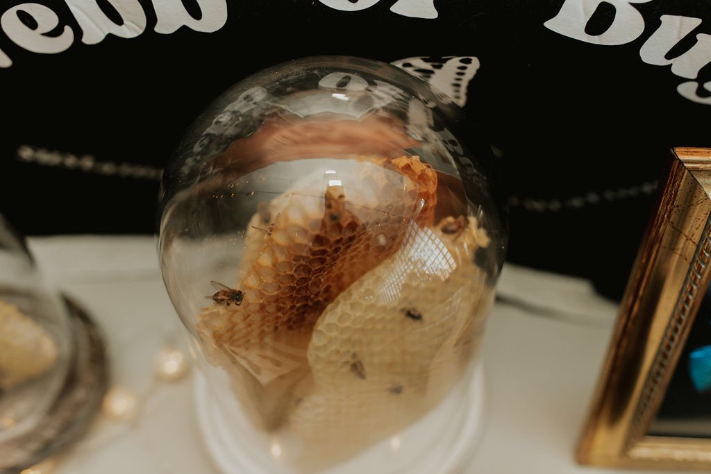 Anna Webb tweet media