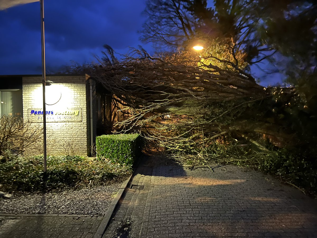 arnostockhorst's tweet photo. @buhadoetinchem op de oprit richting #minimana tussen Penders en minimana- terrein ligt een boom over het pad https://t.co/JWqfBhtV1n
