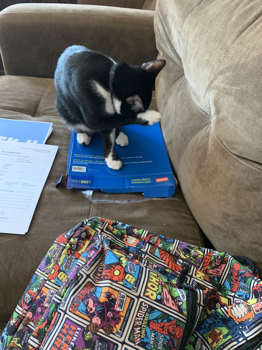 IFAS_1's tweet image. Is my planning partner trying to tell me something here?!? #ISDInnovates #D109Pride @LyleDragons