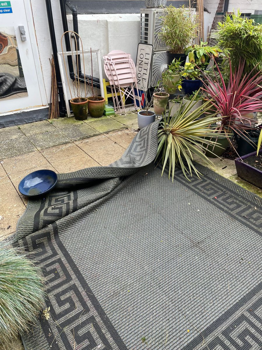 We survived #StormEunice