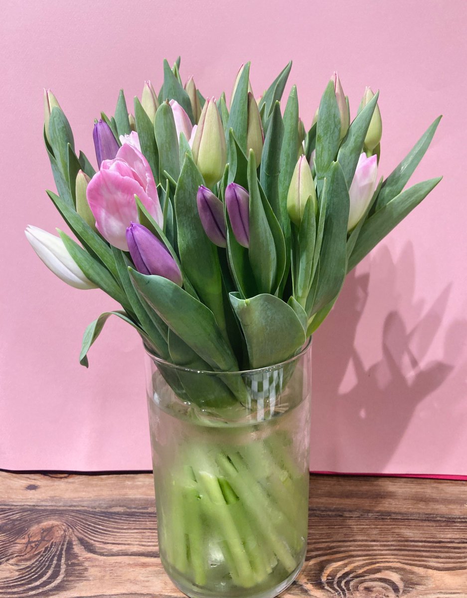 WilBeBloomin's tweet photo. Are you getting ready for some Spring Cleaning? Check out our latest post for some tips on bringing a fresher, cleaner aesthetic into the home with plants and flowers:

https://t.co/xjwTd8rRtQ https://t.co/fEpa6T9BnH