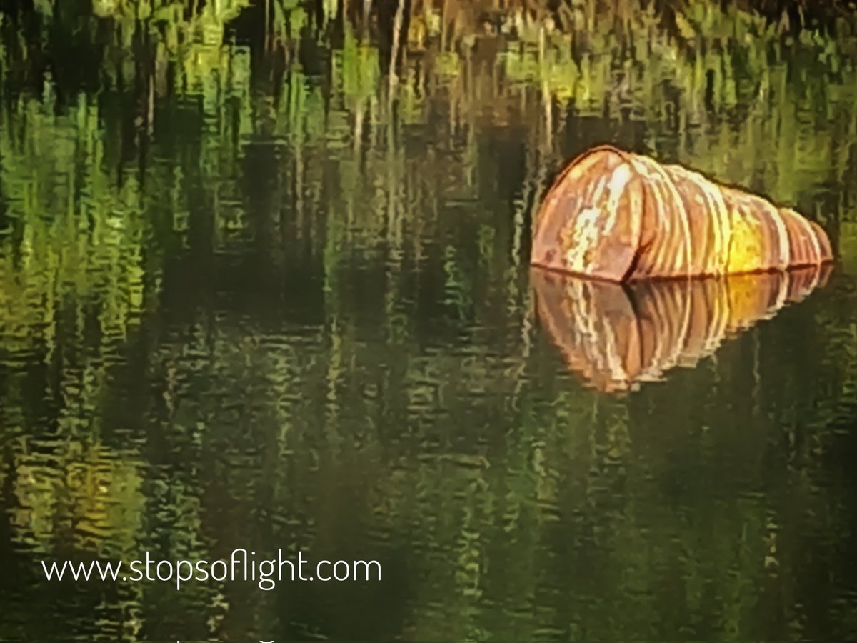 Neville Bulsara tweet media