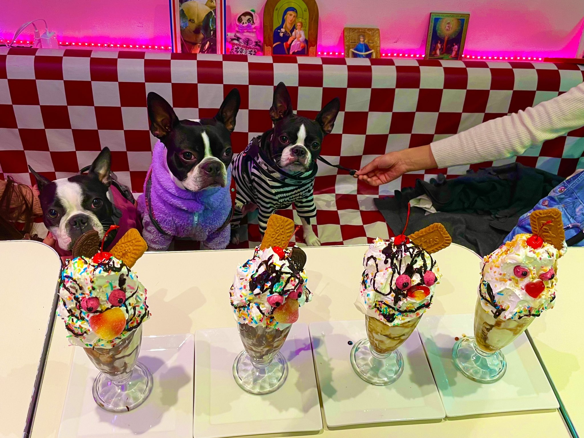 Cafepxyokohama Pxyokohama Twitter