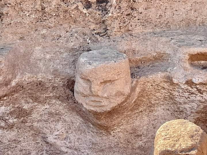 UrfaGuide's tweet photo. The year 2021 brought some outstanding archaeological discoveries made in the area of Turkey. The attention of many archaeologists and historians was focused on the Taş Tepeler (Stone Hills) project...
#Karahantepe #Göbeklitepe #Şanlıurfa https://t.co/SheEtswVXr