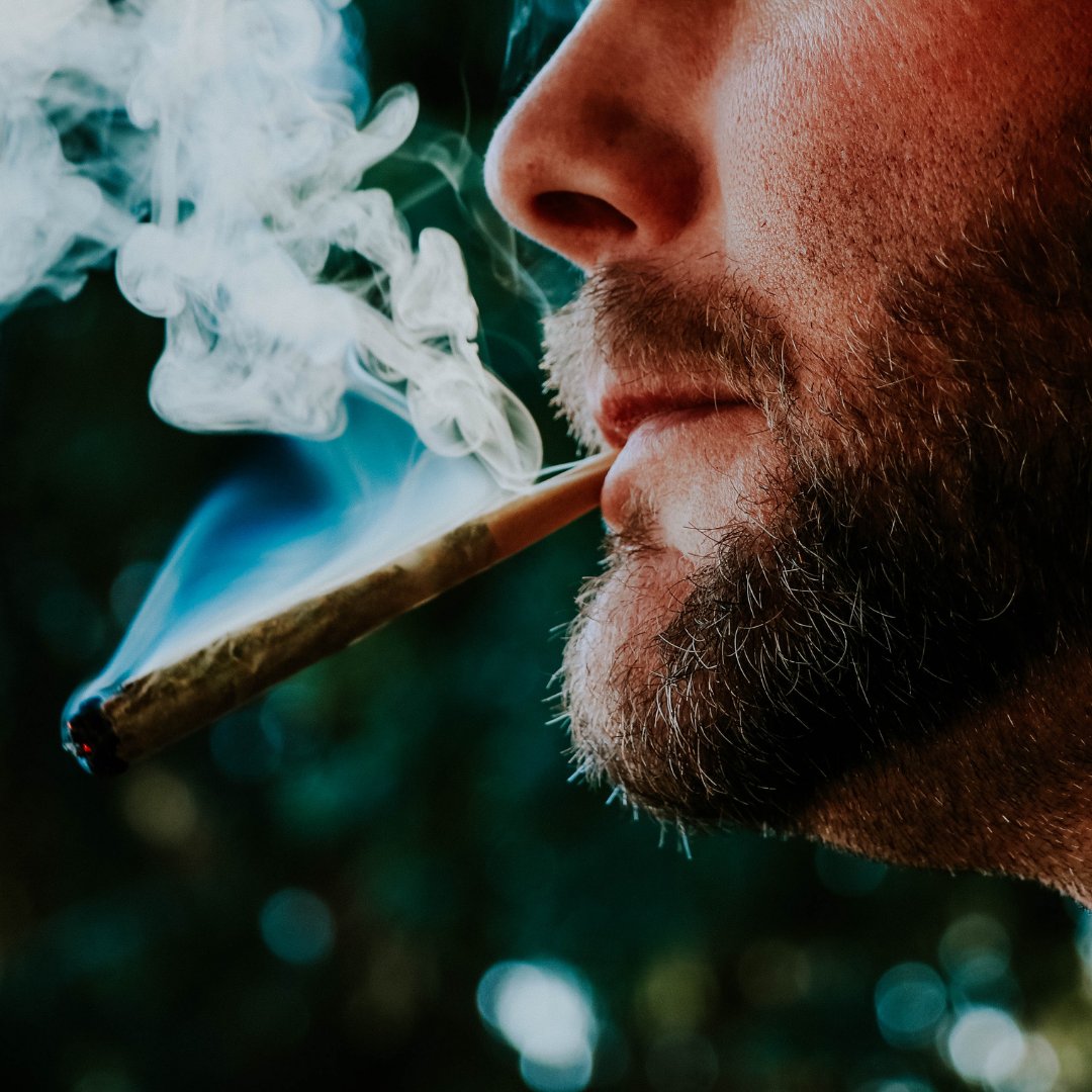 GreeneryMap's tweet image. With every exhale, let go of something no longer serving you ✨

#cannabis #cannabisblog #cannabisapp #cannabistech #cbd #mmj #cannalife