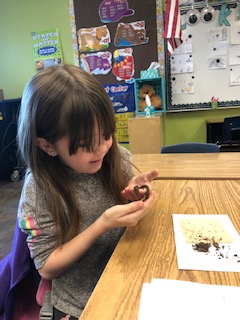 Desert Mountain School, DVUSD tweet media