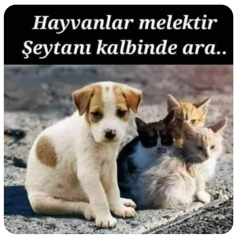 #14ocakKaraBirLeke İnsanin suçunu masumlara yüklemeyelim.Bu kara lekeyi silelim

x.com/i/spaces/1Mnxn…