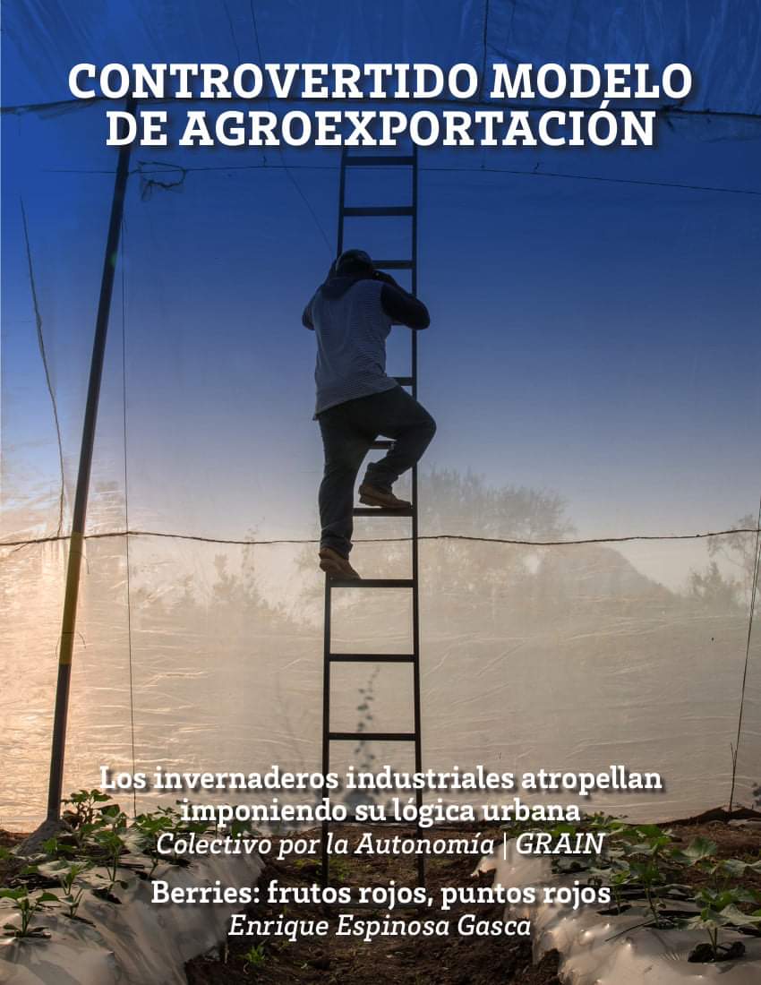 RAgricolas's tweet photo. #Publicación sobre los costos ambientales y sociales del #modelodeagricultura de #exportación, junto con un detallado estudio de caso de la producción de berries (moras) en Michoacán.
(Información de #CECCAM).
Se puede consultar y descargar en: https://t.co/6EUovSYrZn https://t.co/XhNMhdlX9J