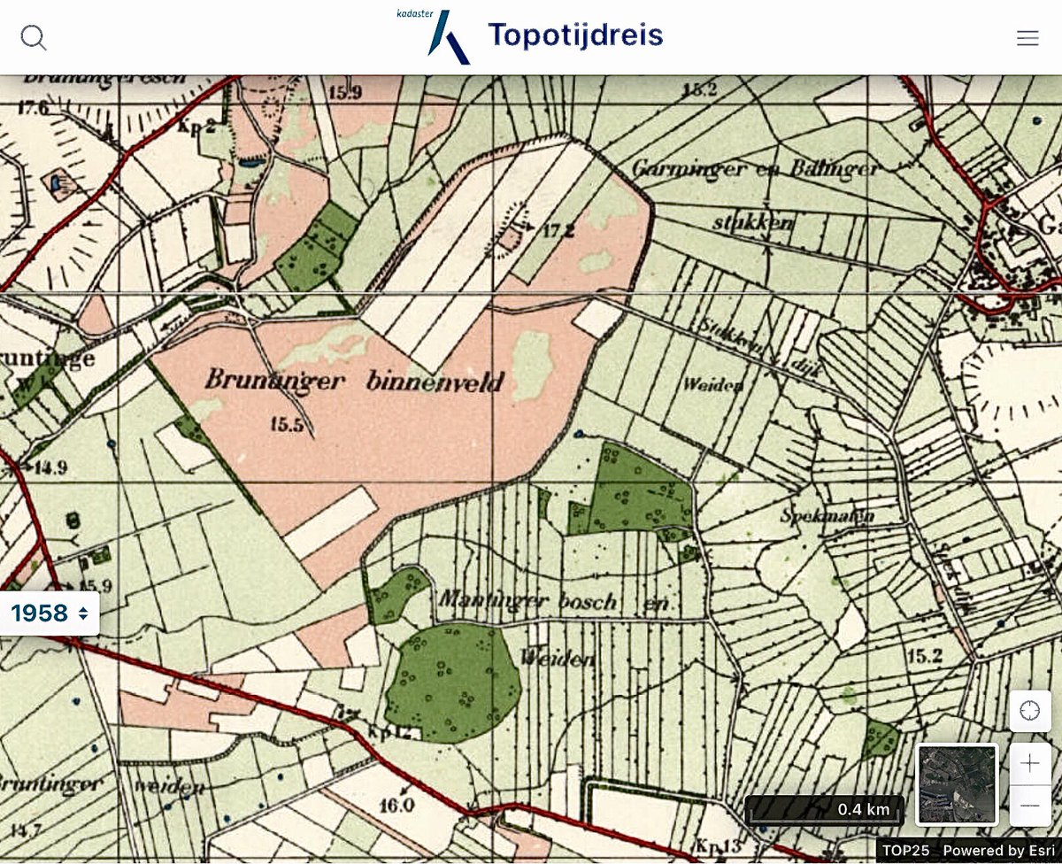 Mantingerveld's tweet photo. Wat me later opviel zijn de restanten hei van het Bruntinge Binnenveld van voor de ruilverkaveling. Voor 1958 nog geheel heide. De strook langs de Mantingerweiden waar donderdag nog opslag is verwijderd. @Mantingerveld #mantingerbos https://t.co/Jg3Gek0zxE