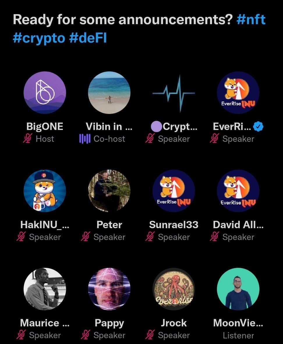 CryptoPulse9's tweet image. Thanks to @EverRise for the great discussion with @BigONEexchange today! #LetsUsIn is clearly working! I want to #LetYouIn on another great option for social media on @OfficialRedWaif We would love to have an #EverRise community on the platform! You can earn crypto for posting!