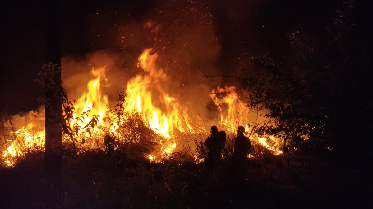 BomberoCarapegu's tweet photo. Incendio en los Humedales del Ypoá zona Caapucumi-Carapeguá 
Hace 4 horas personal del Brigada de Bomberos Forestales de Carapeguá están luchando para detener el avance del incendio de los pirizales que ya han consumido más de 400 has. En peligro más de 50 casaS https://t.co/SFrqoG2HXg