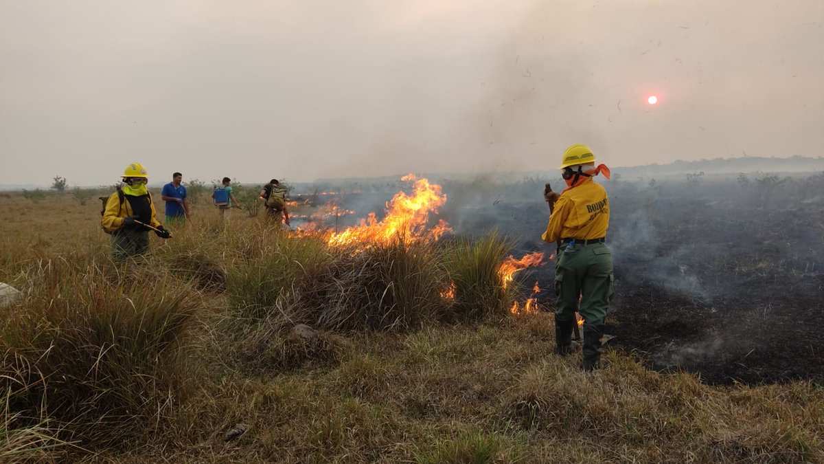 BomberoCarapegu's tweet photo. Incendio en los Humedales del Ypoá zona Caapucumi-Carapeguá 
Hace 4 horas personal del Brigada de Bomberos Forestales de Carapeguá están luchando para detener el avance del incendio de los pirizales que ya han consumido más de 400 has. En peligro más de 50 casaS https://t.co/SFrqoG2HXg