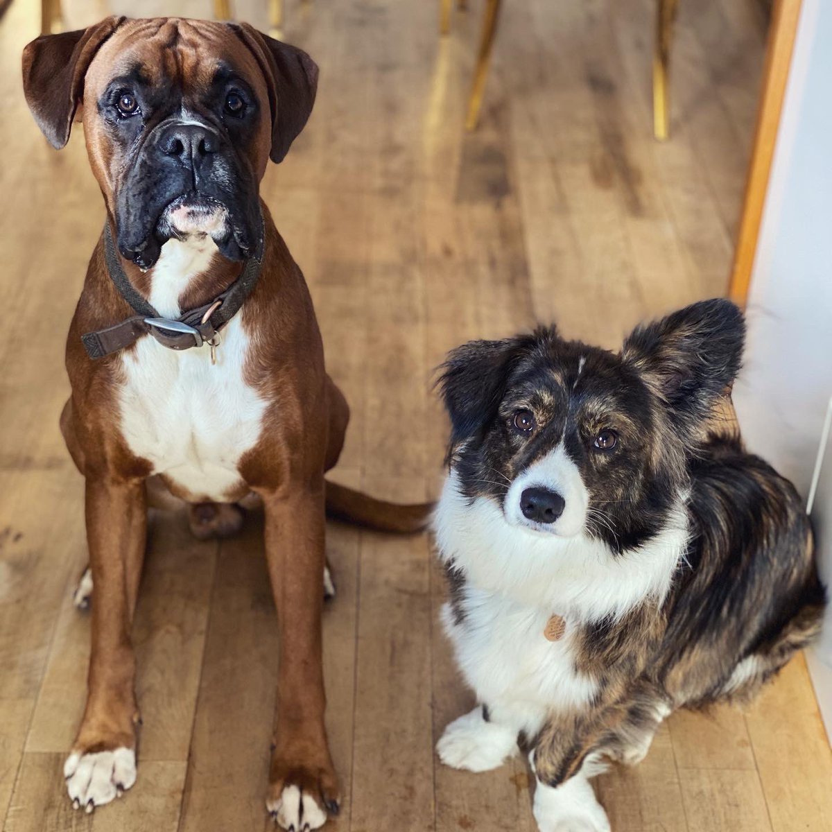 Milly Fey tweet media