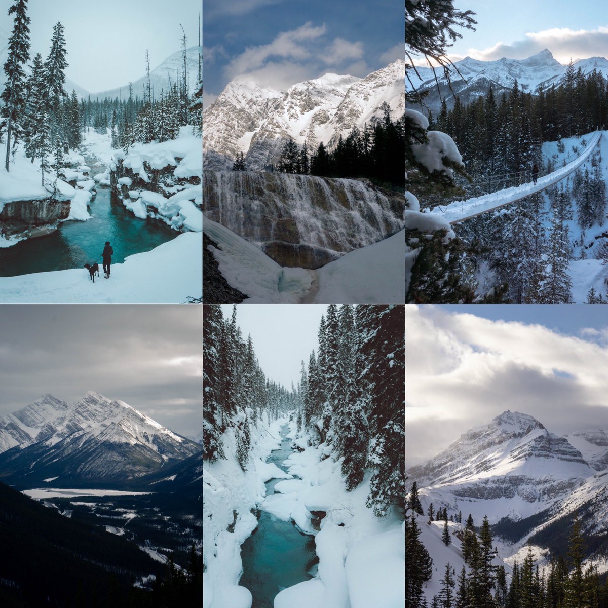 GM and happy long weekend Friday 🤩 I’m looking to get out there at least twice. Here’s some of my winter hike shots ❄️ #NFTphotography #winterhikes 

Which is your favourite shot?
