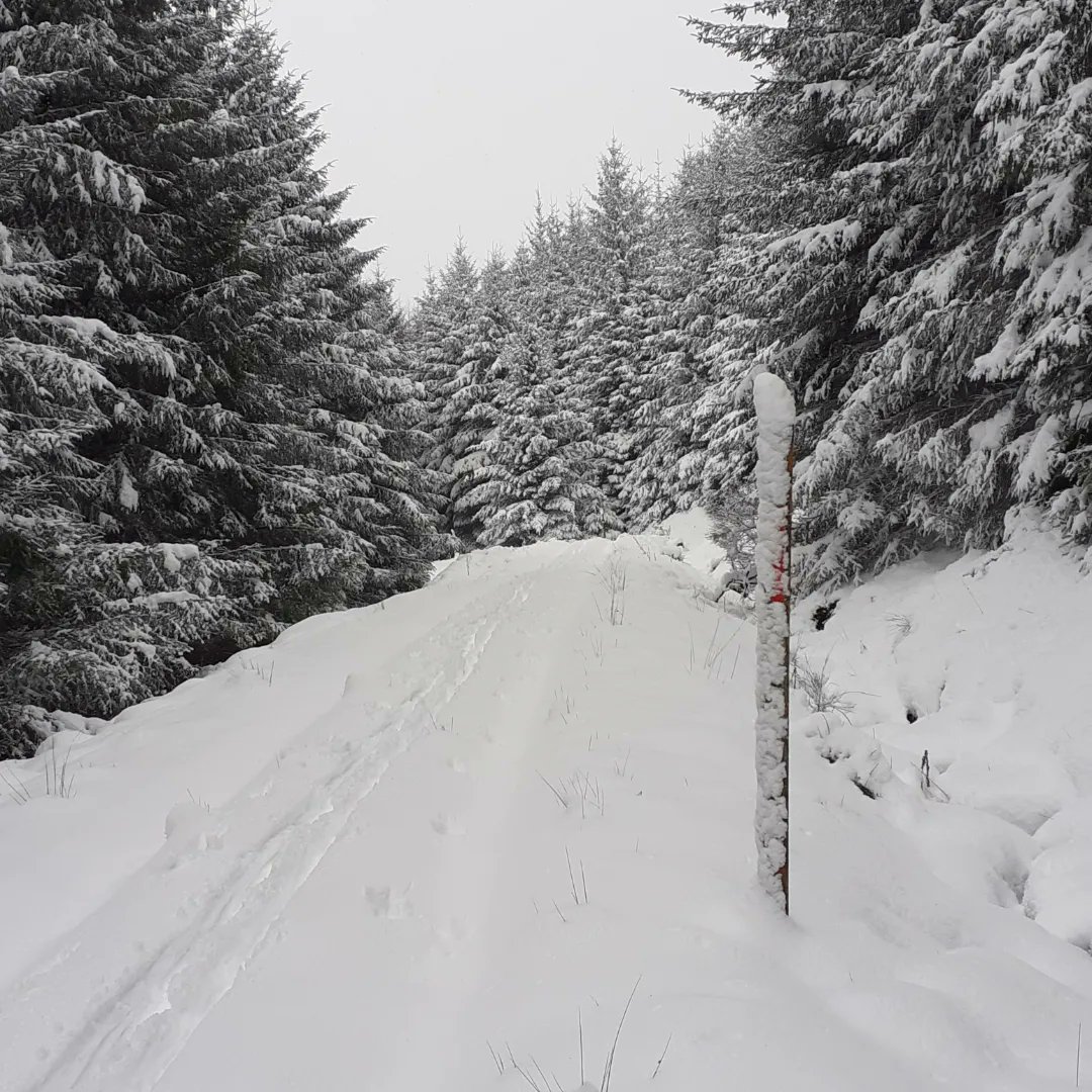 carbonchoicesuk's tweet photo. Cross Country skiing at Glen Ogle. First proper snow of the winter.
#glenogle #glenogleviaduct #lochearnhead #killin #snow #crosscountryskiing #stormeunice https://t.co/4TYBw0ShqZ