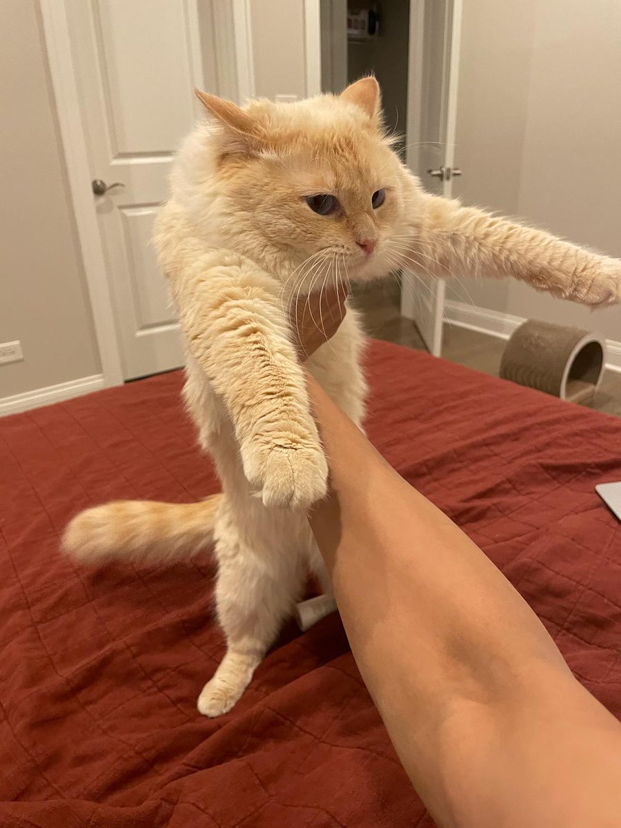 Caprinicus's tweet image. Pisces season mood board