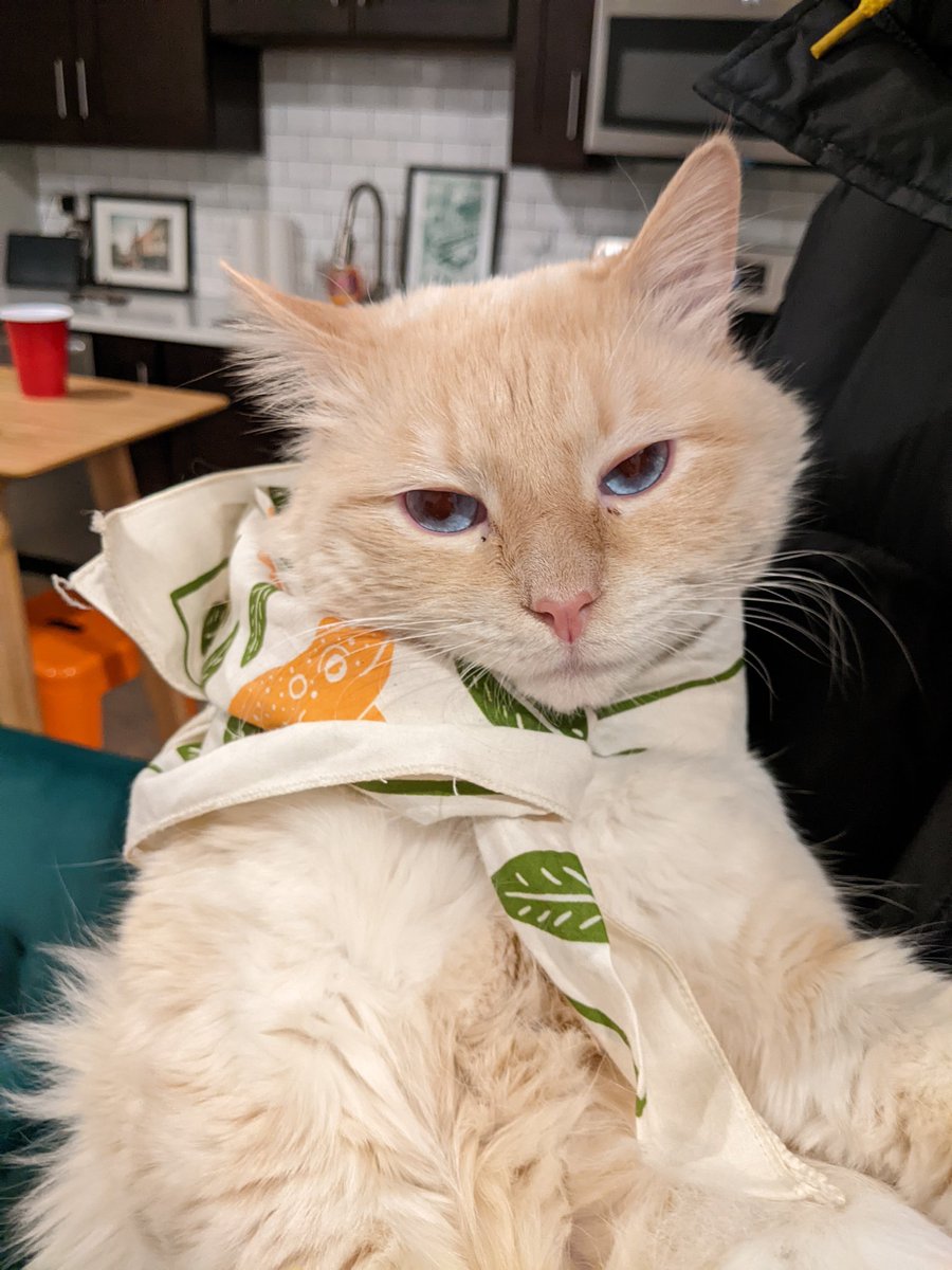 Caprinicus's tweet image. Pisces season mood board