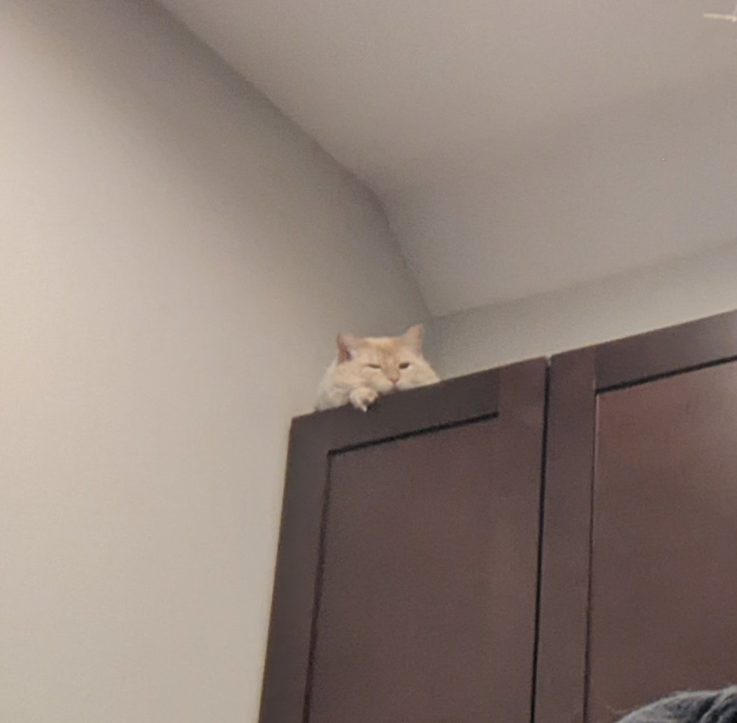 Caprinicus's tweet image. Pisces season mood board