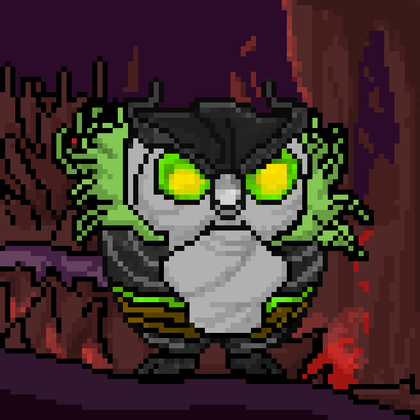 Owlsomes tweet picture
