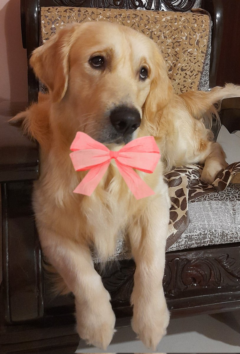 A.Upadhyay tweet media