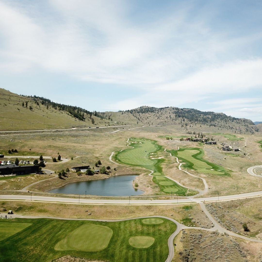 Tobiano Golf tweet media