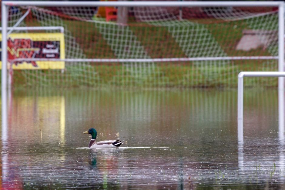 WDC_Wildcats's tweet photo. Unfortunately tomorrow morning's session has been cancelled due to the pitch being unplayable after all the rain we've had 🌧️
To book on to next week, follow the link below
https://t.co/9ZyyzWLFUu
@WD_CFC @WDC_Juniors @WDC_Women @wdc_vets https://t.co/gcFqlJabag