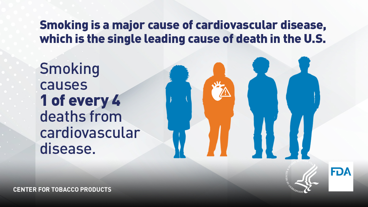 FDATobacco's tweet photo. Smoking causes 1 of every 4 deaths from cardiovascular disease. Get free resources to help you quit at https://t.co/59avIGhUmq https://t.co/f3uJrotGpk