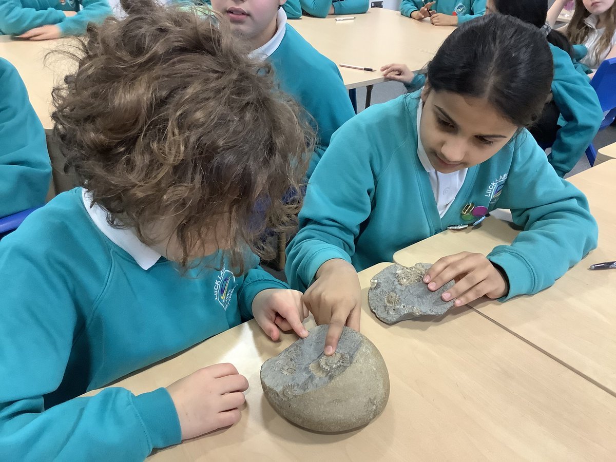 LuckLanepri's tweet photo. Y5 enjoyed their visit with @jeffery99067158. Looking at fossils and taking part in an archaeological dig. https://t.co/0YNaKUPQlo