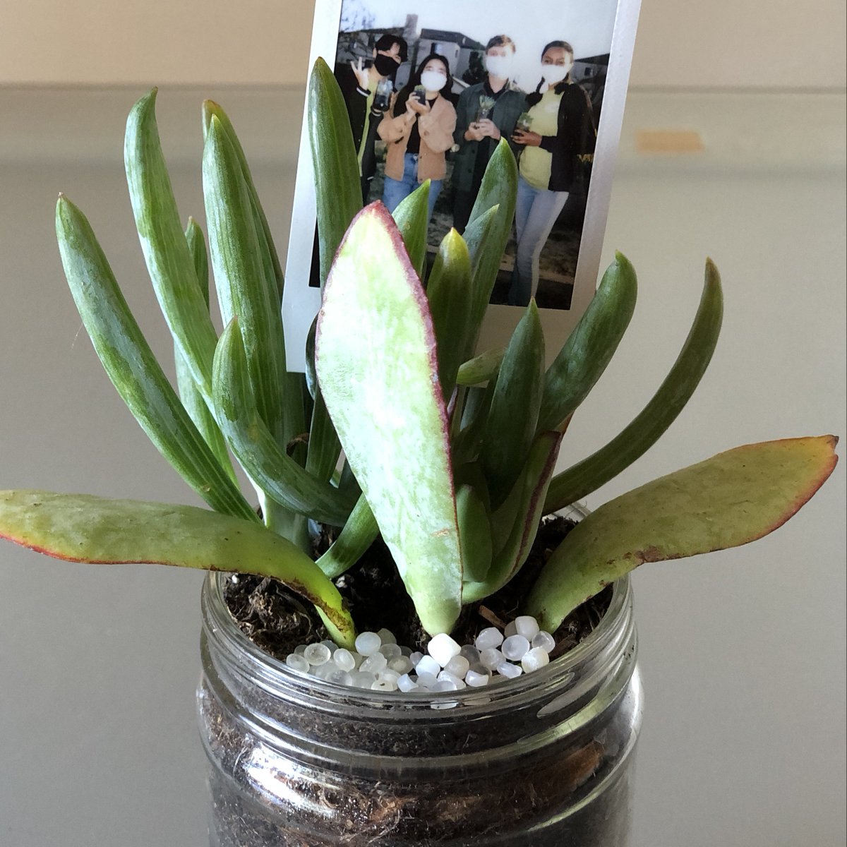 Thanks to <a href="/asuci/">ASUCI</a> for a great event about environmental justice and for having me as a discussant.

Inspired by <a href="/unreasonabledw/">Diane Wilson</a>, I decorated my terrarium with plastic pellets from the waters outside a Formosa Plastics plant in Taiwan.