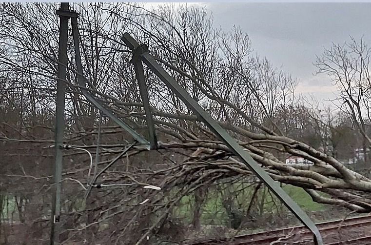 FL5w9UVX0AUiONP?format=jpg&name=900x900