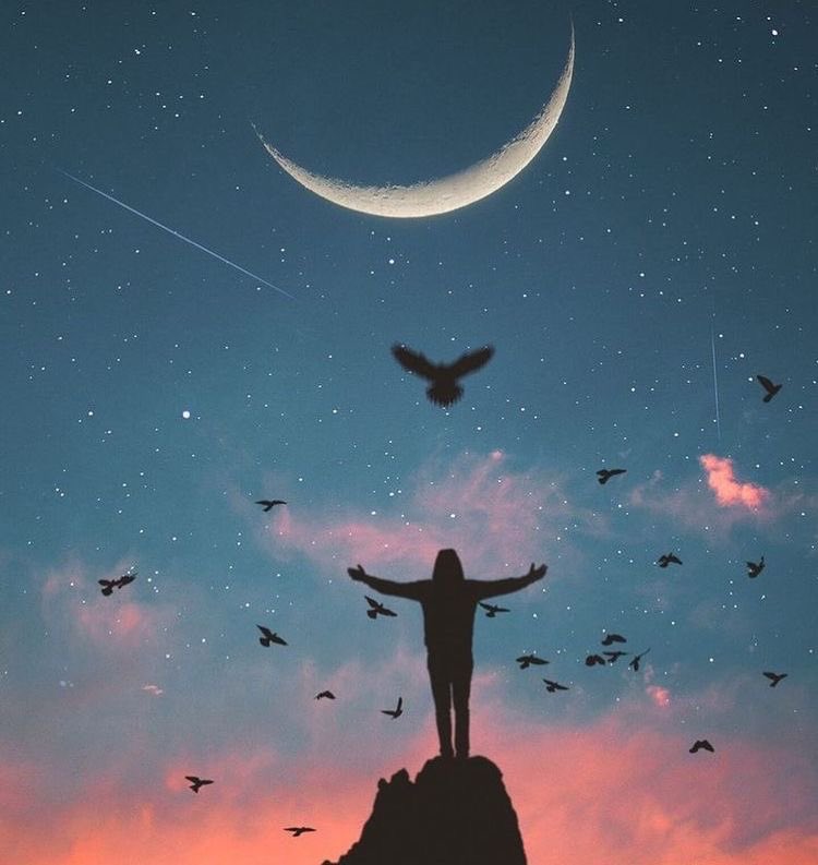 uranus_hani's tweet photo. #وعي 
يقول غازي القصيبي: 
🕊ستدرِك في وقتٍ متأخّـر من الحياة 
أنَّ معظم المعارك التي خضتها
لم تكُن سوى أحداث هامشيّة 
أشغلتك عن حياتك الحقيقية🕊
🔺لروحك السلام غازي 
كنت وعياً سبق زمنه
حاربت وحيداً
وانتصرت وحيداً
كنت غازي وأي غازي كنت
اشعلت النور
انقذت أجيال
"ورحلت"
🕊𝑯𝒂𝒏𝒊🕊 https://t.co/YEZzWpuKs6