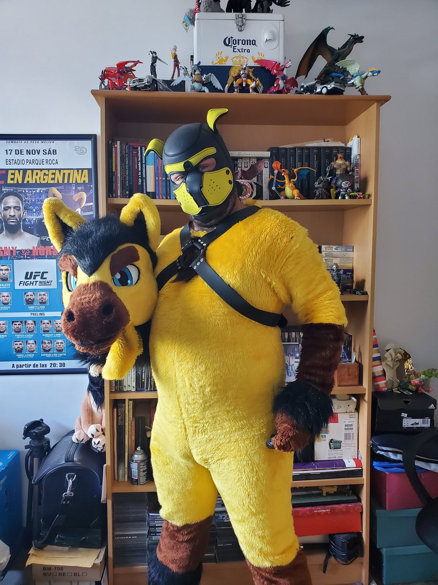 ThatCrazyStud's tweet photo. Yes, I have a pup hood. 
Yes, I use it on my AD. 
And I do that because I choose to, not 'cause I have to. 
#FursuitFriday 
✂️ @UrsidaeSuits https://t.co/Y1j8iZyxku