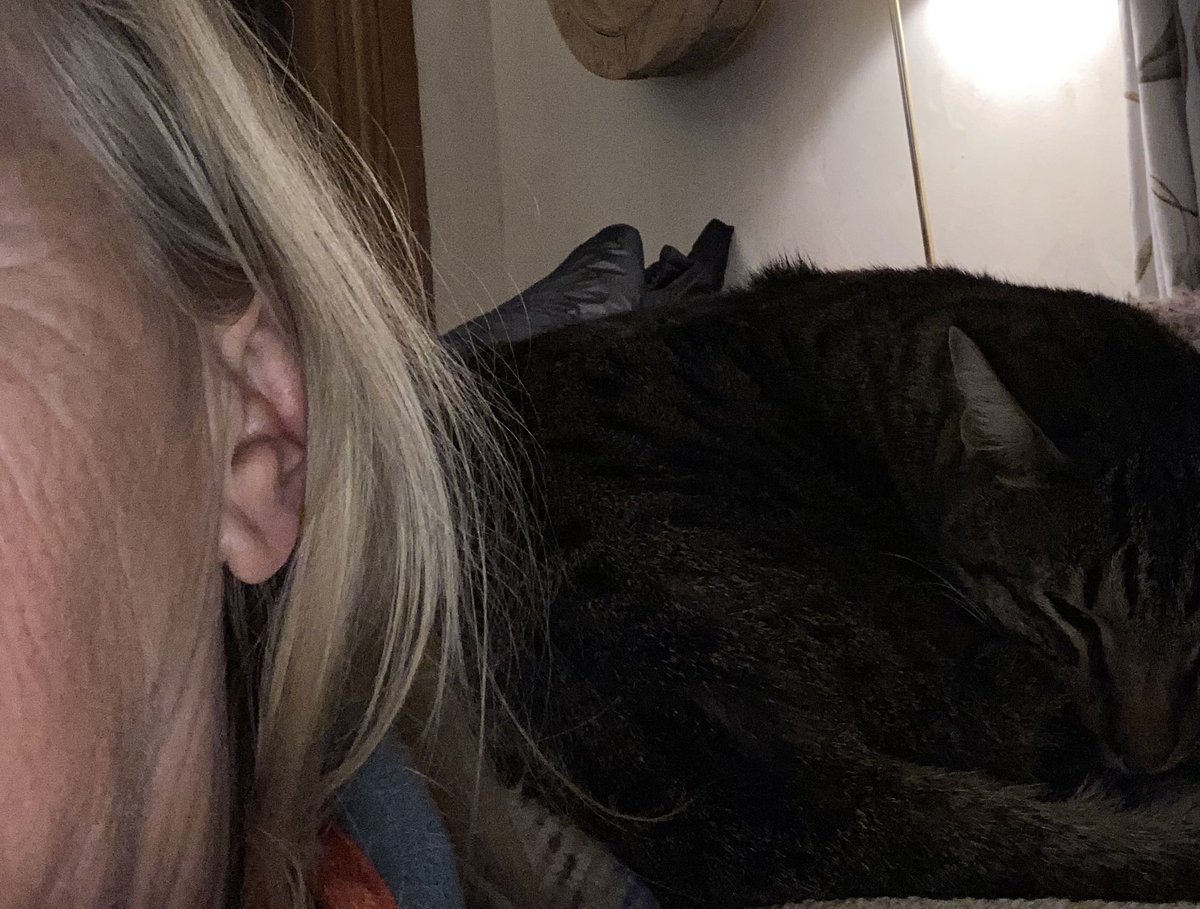 Deborah Meaden 🇺🇦 tweet media