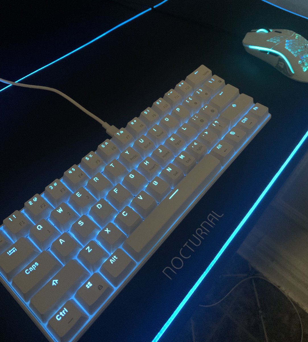 🚨Alert: RGB Mousepad incoming🚨

Another setup is gleaming! 

Will yours be next?

Amazon link on site: bit.ly/NOCRGB

Enter for a chance to WIN now:

❤️Like
♻️Retweet
🏃‍♀️Follow <a href="/NocturnalStore_/">Nocturnal Technologies</a>  
⏰ Ends in 24 hrs!
🔖 Tag a Friend