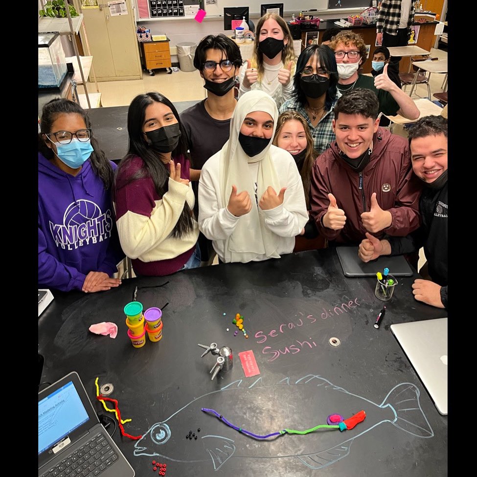 torchianator's tweet image. AP Bio worked really hard this week on gene regulation. A little HHMI Stickleback modeling was perfect for visualizing some of the concepts. Have a turtle-y awesome weekend! 🧬🐢🐟🍣 #GoKnights #KnightScience @FazioSally