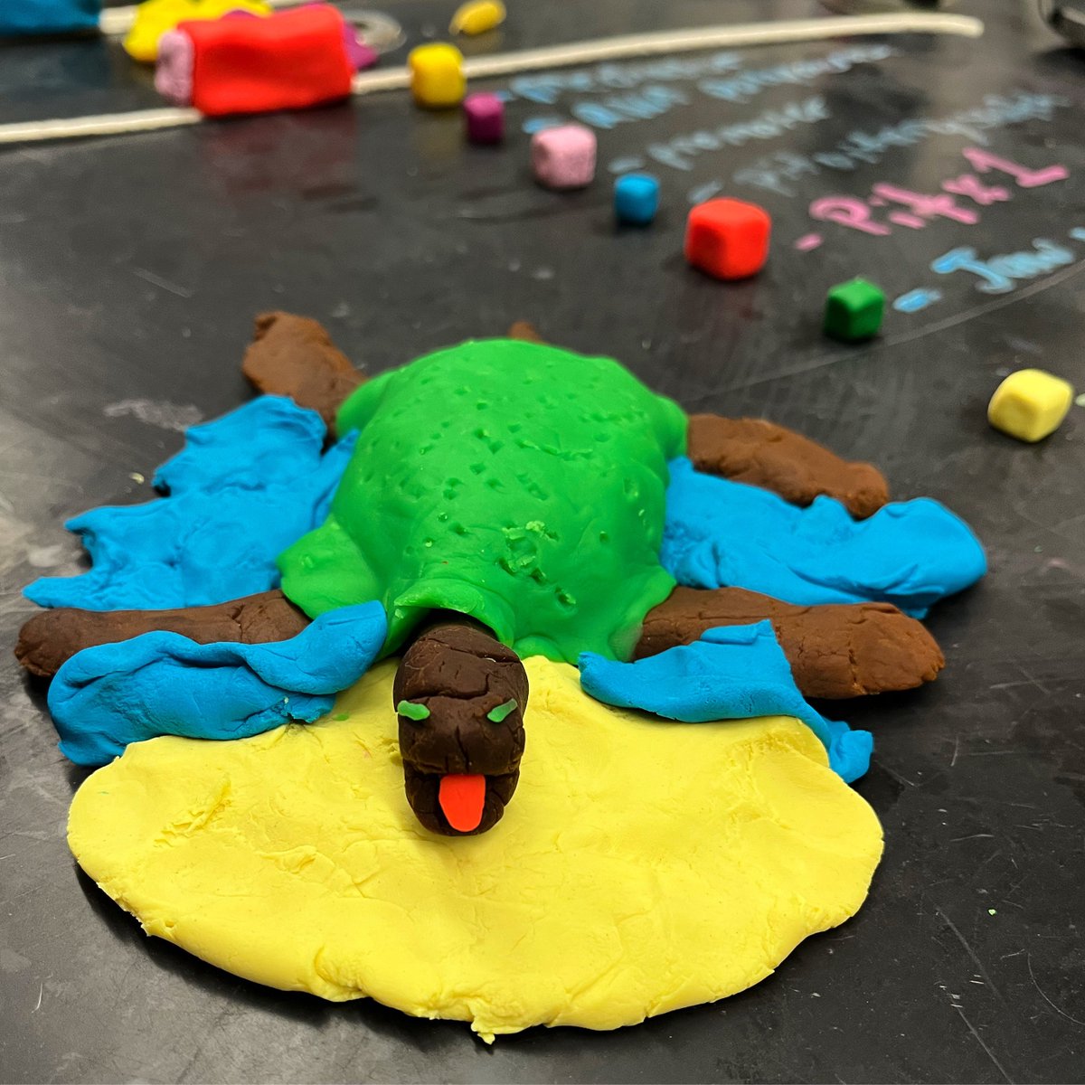 torchianator's tweet image. AP Bio worked really hard this week on gene regulation. A little HHMI Stickleback modeling was perfect for visualizing some of the concepts. Have a turtle-y awesome weekend! 🧬🐢🐟🍣 #GoKnights #KnightScience @FazioSally