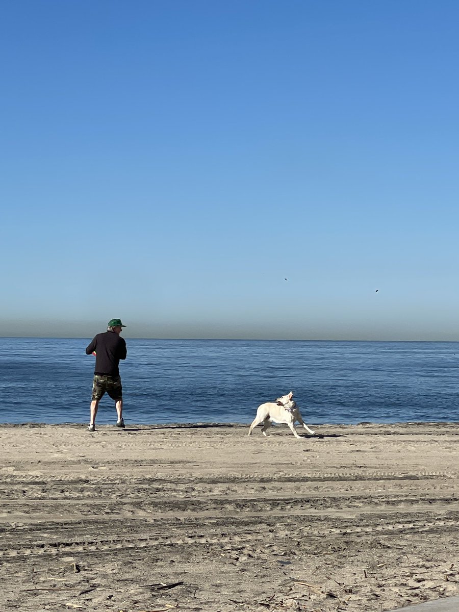 RoadtripC's tweet photo. Near @flyLAXairport ? Short #Layover Go to Dockweiler Beach and you can watch the planes βοΈ take off and enjoy a #walk or #run or #biking along the beach π #TravelTip #LATips #Layovertip #California https://t.co/t3GTjYthoU