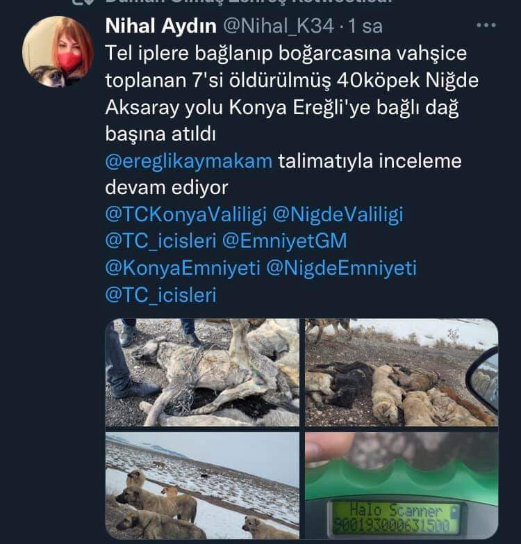 #14ocakKaraBirLeke 
 Acımasız belediyelere psikopat insanlar da eklenince hayat bu hayvanlara daha acımasız davranmaya başladı 😔