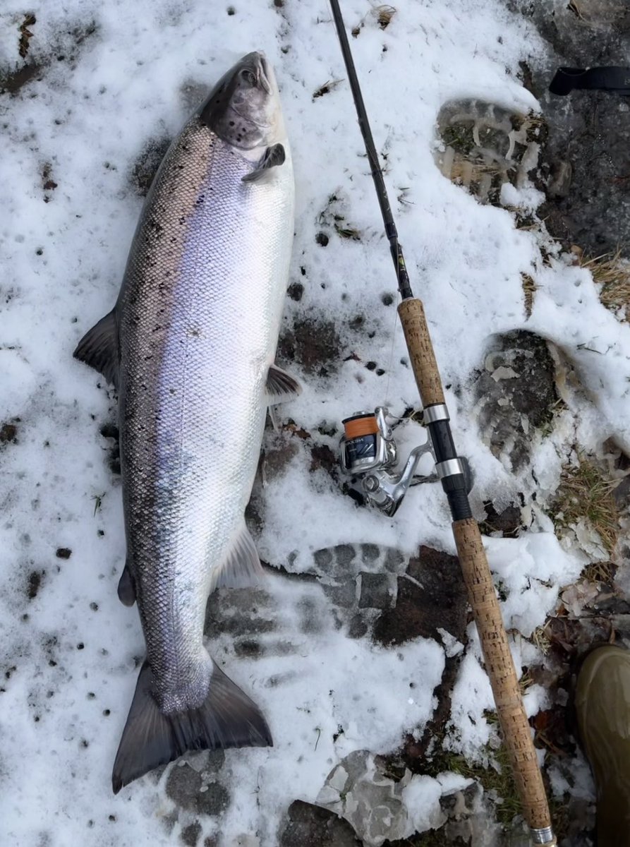 Callum Imray tweet media