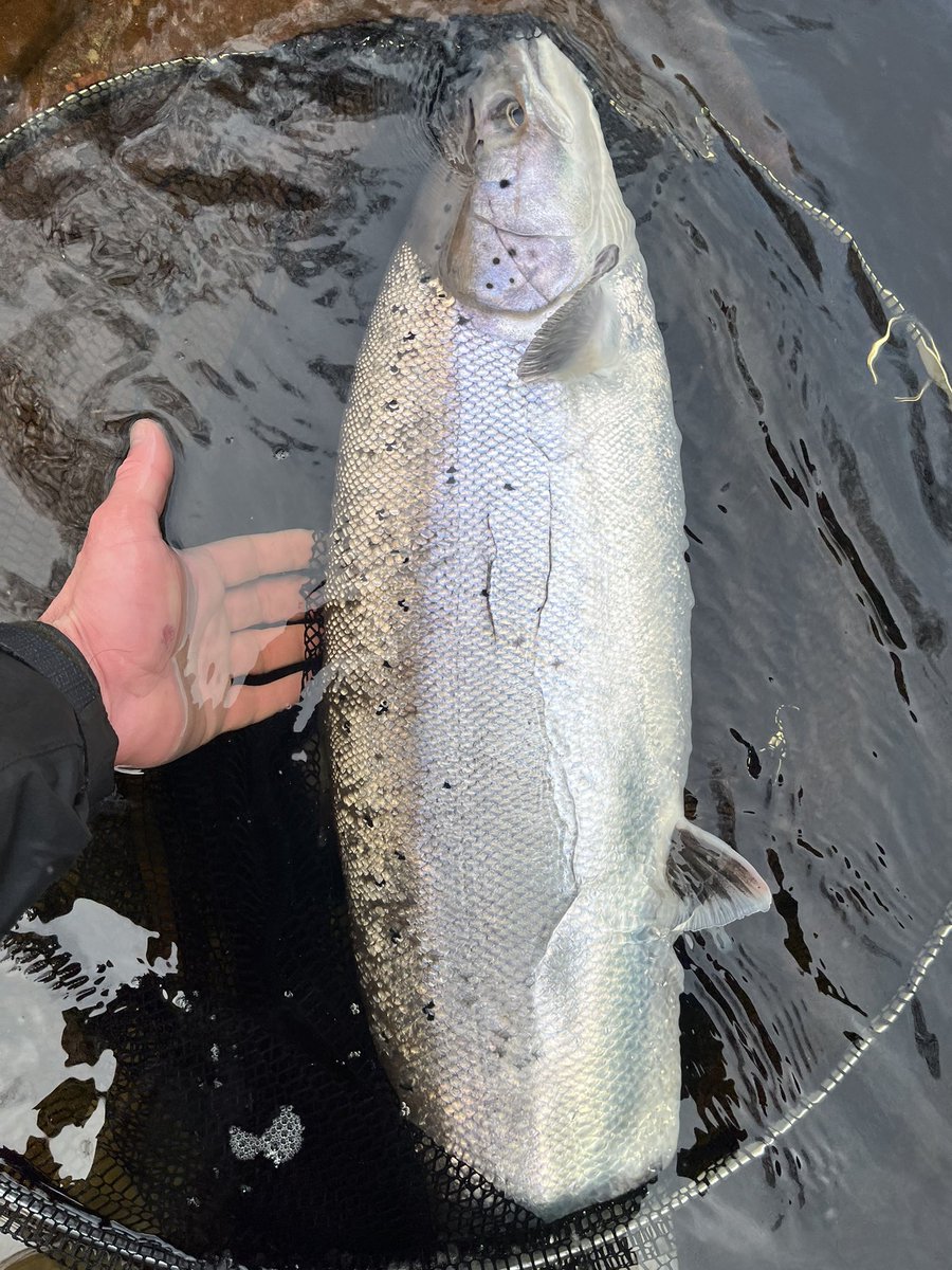 Callum Imray tweet media