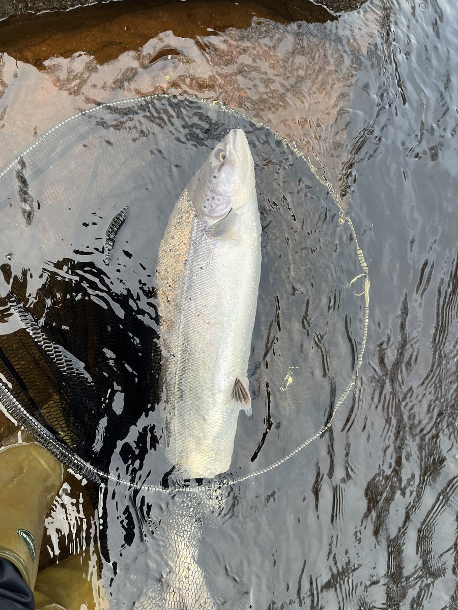 Callum Imray tweet media