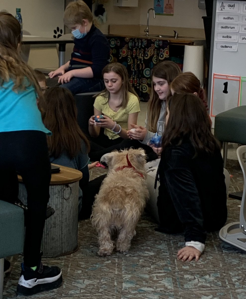 Doing her job! @MortonPRIDE she may stink at agility, but she loves her kids! Love that dog!