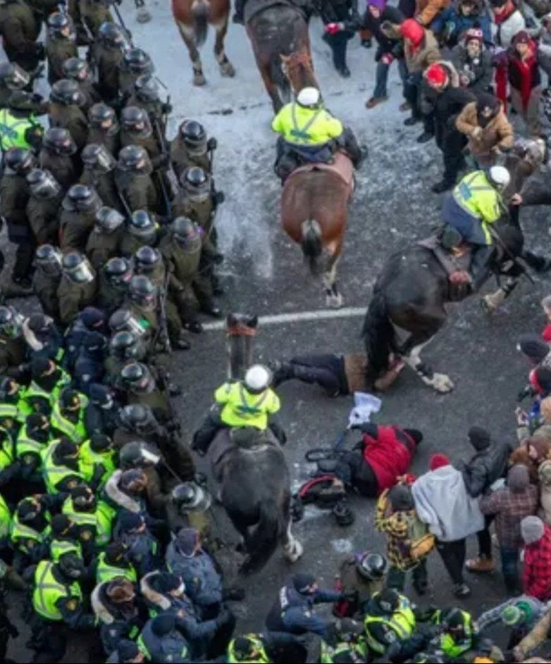 FL60KbwVUAQ9RCM?format=jpg&name=medium