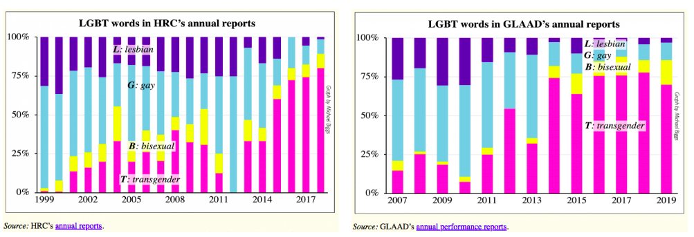 What do you mean by “LGBT Inc.”?
LGB organizations have been co-opted by the T in order to promote transgender ideology and rebranded as “LGBT” organizations. lgbfightback.org