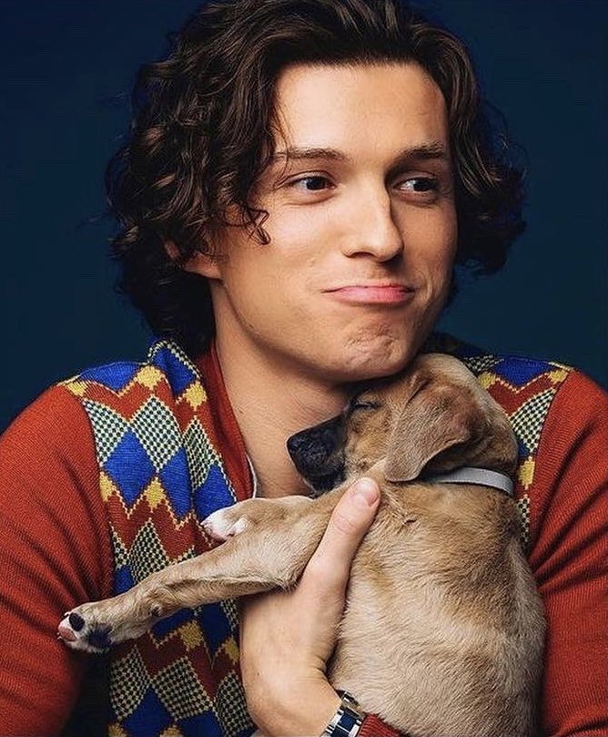 tom holland and puppies. i agree.