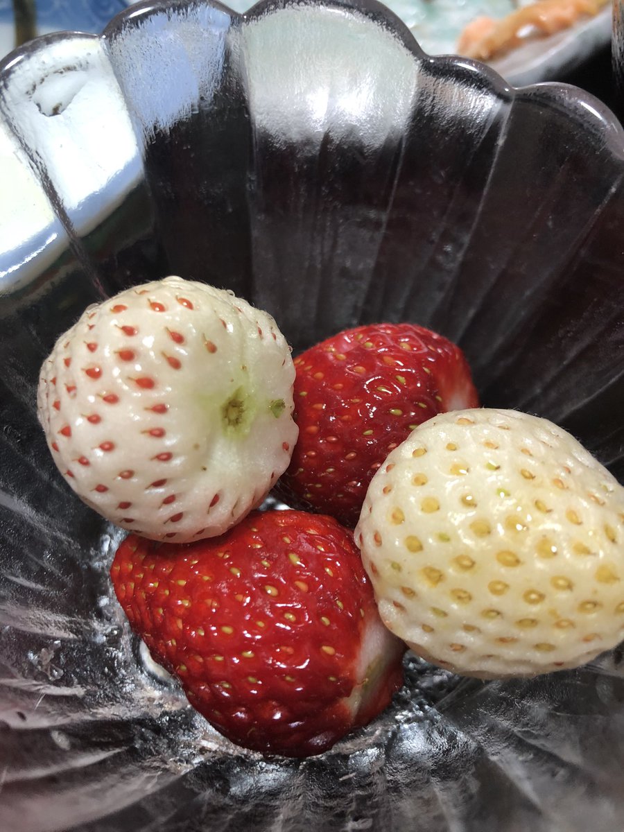 mofu0088's tweet photo. 休日なのに仕事だよ😡😡😡😡
#FUBER https://t.co/YOfnmDt1iQ