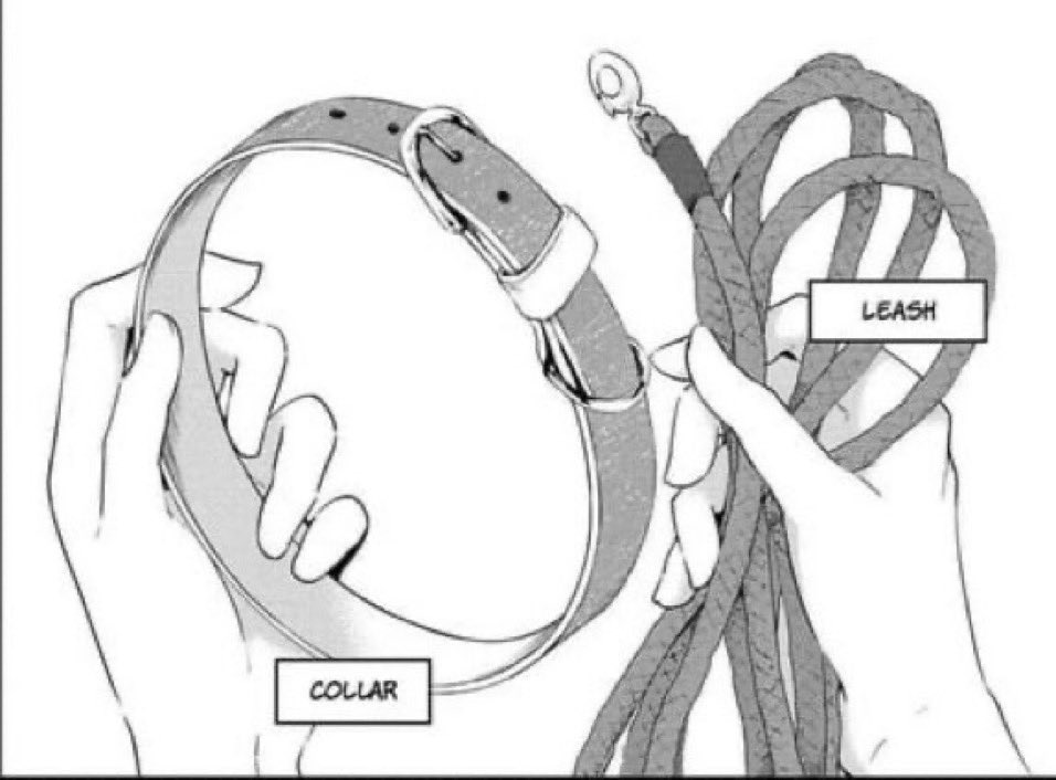 ♻️&amp;❤️

To find out which of my muses would collar and leash you or which will pass 

Also comment a 📸 for better chances!